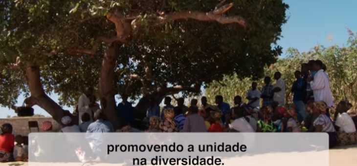 A Igreja na África, fermento de unidade. (O Vídeo do Papa. Maio/2019)